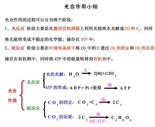 高中生物遗漏的知识点,书上不具体讲但很重要
