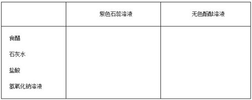浅析初中化学探究