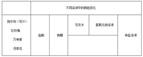 浅析初中化学探究