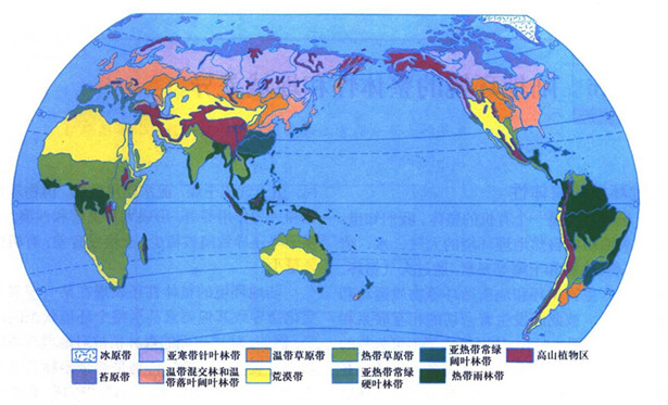 2013高考地理重点地图:世界陆地自然带-高考资