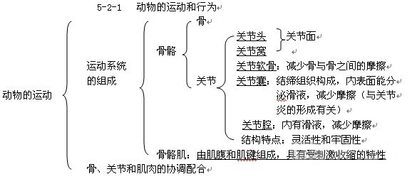 八年级生物教案:动物的运动-中学学科网