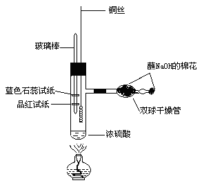 铜与浓硫酸反应的实验改进-英语学科网