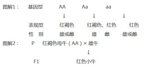 高考生物选择题解题技巧-政治学科网