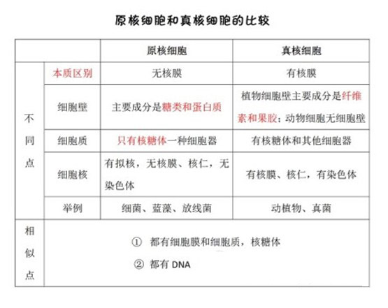 生物高中知识点:细胞原核和真核细胞怎么办被处分高中图片