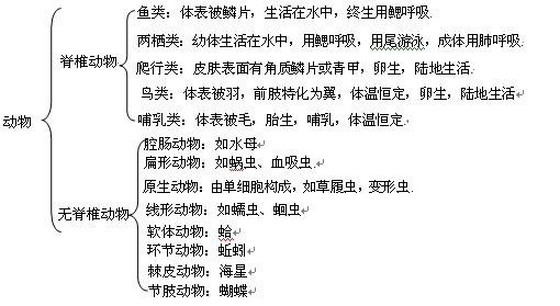 初中生物知识要点:动物界的动物类群-英语学科