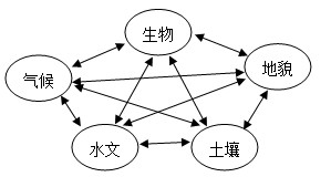 《自然地理环境的整体性》教学设计