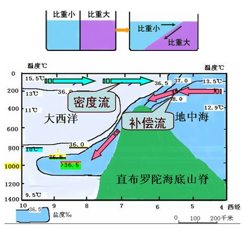 高考考向重点精讲:洋流的概况