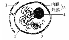 (总共1小题)   1.Ⅰ.如图为典型的细胞核及其周围部分结构示意图.