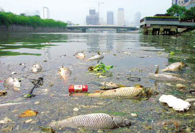 经济发展遇水危机:全球面临九大涉水问题