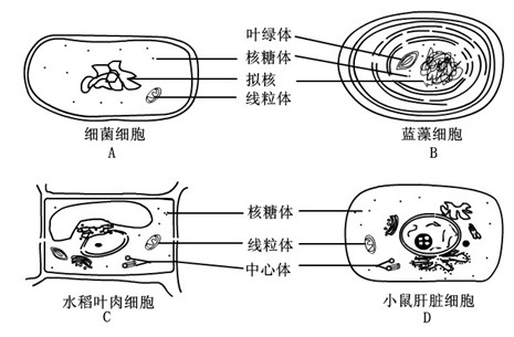 ZXXKCOM201311061455305384985.jpg